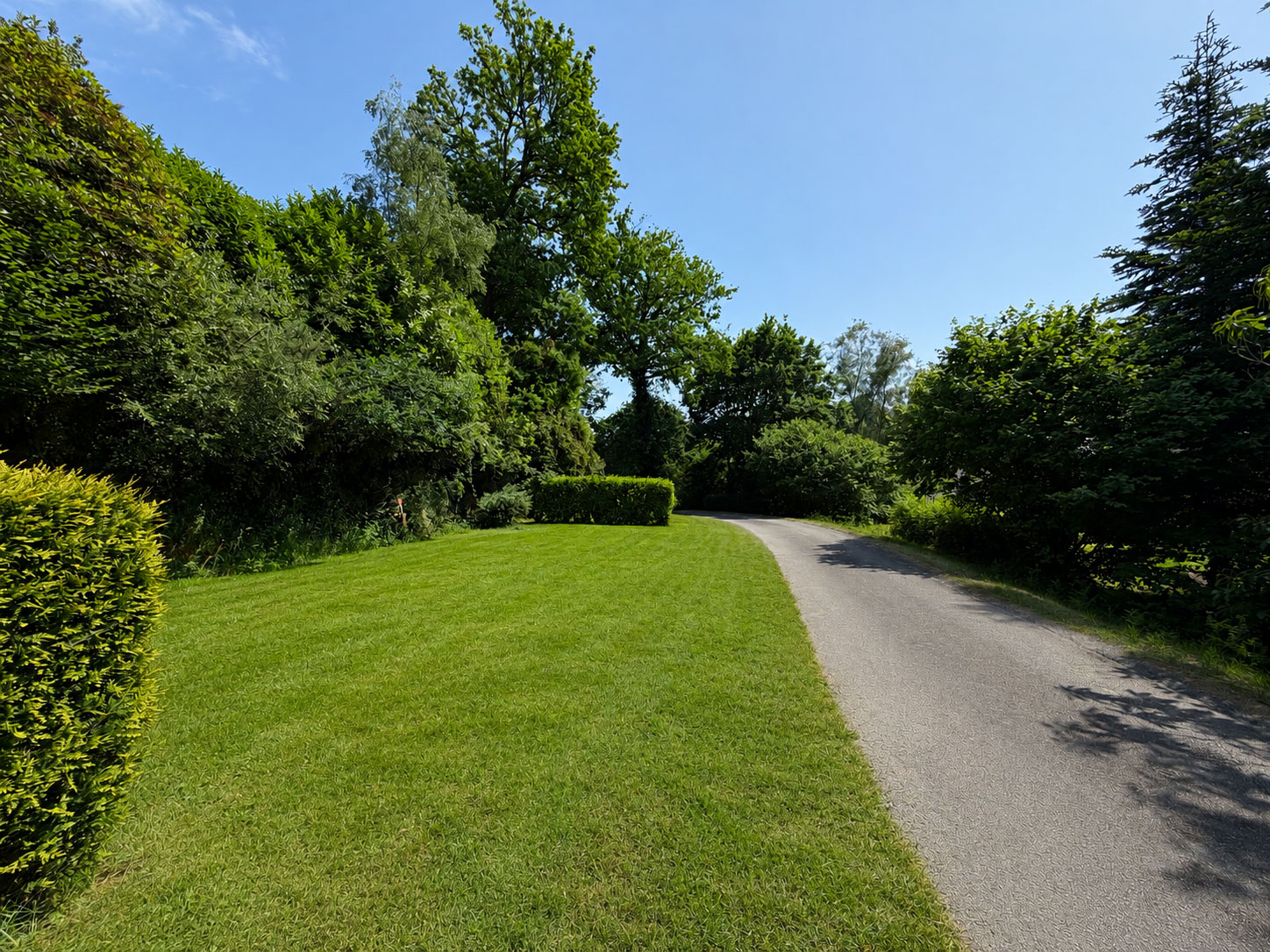 emplacement camping foret fouesnant
