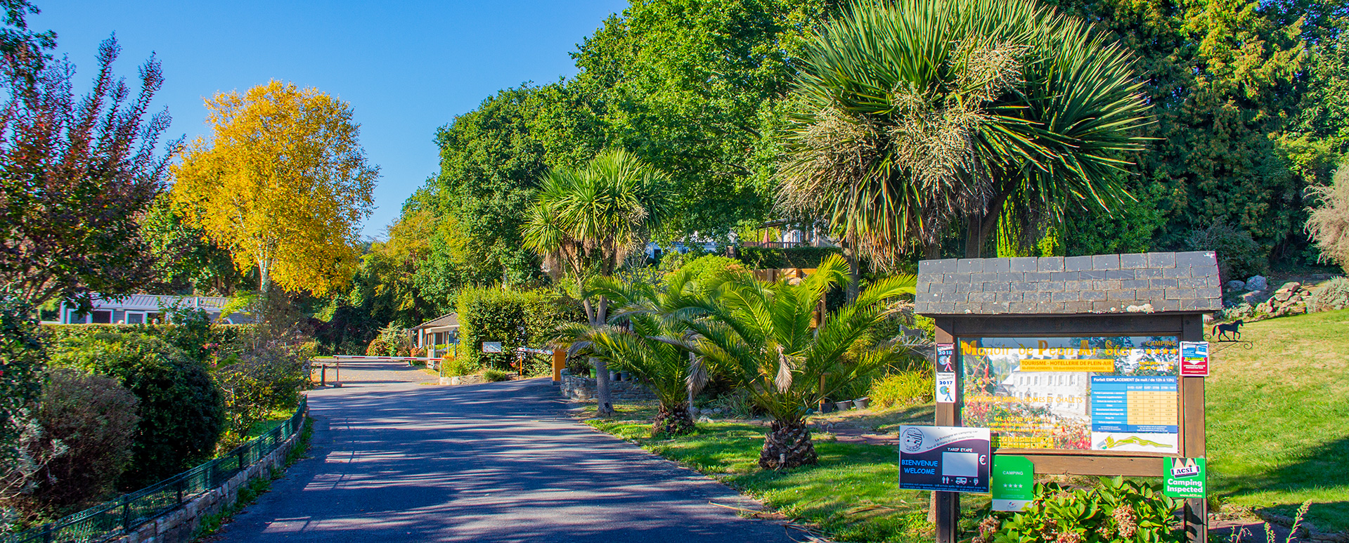 camping foret fouesnant