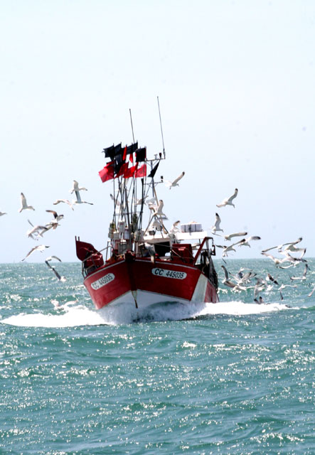 bateaux de peche bretagne